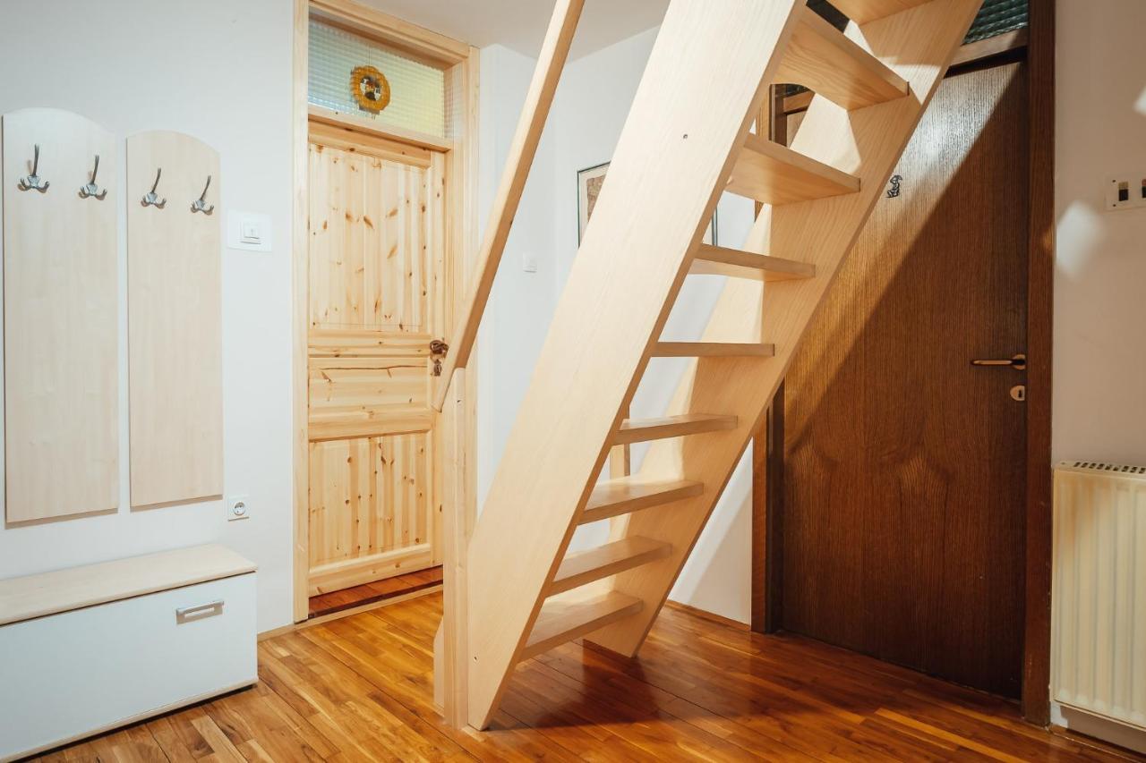 Apartma Borovc モイストラナ エクステリア 写真