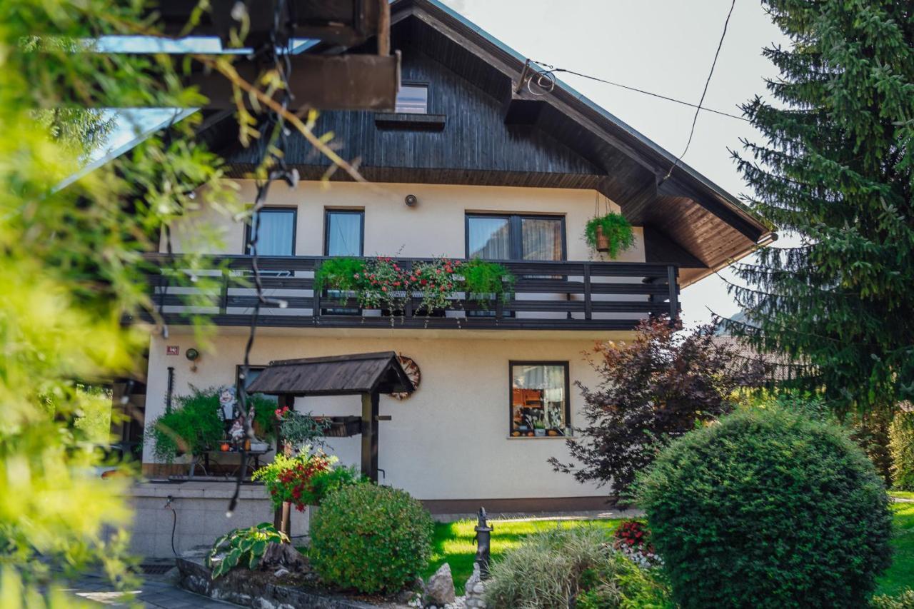 Apartma Borovc モイストラナ エクステリア 写真