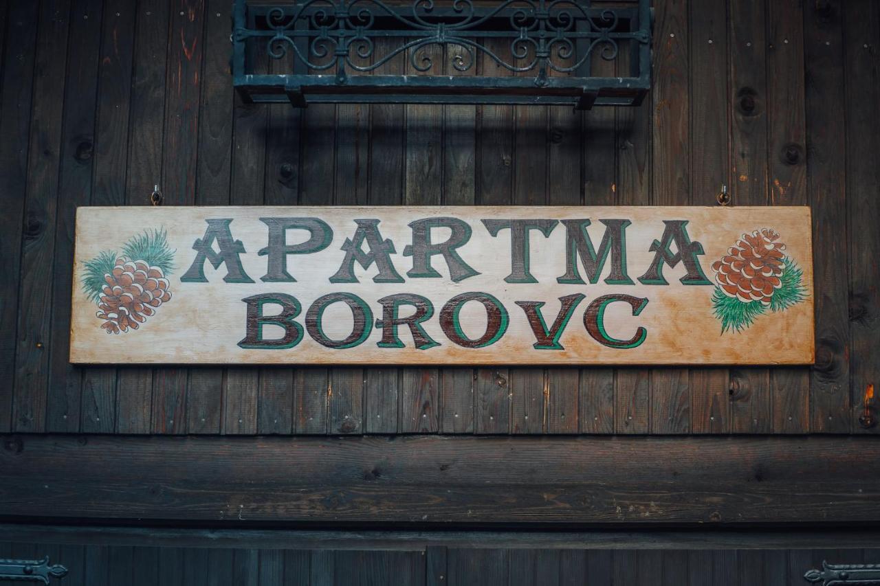 Apartma Borovc モイストラナ エクステリア 写真